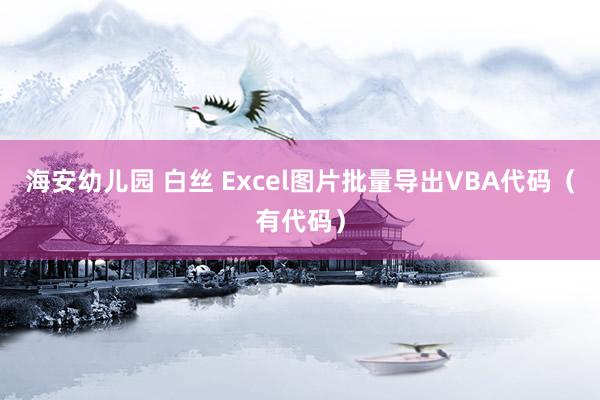 海安幼儿园 白丝 Excel图片批量导出VBA代码（有代码）