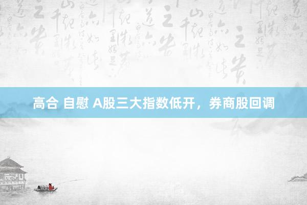 高合 自慰 A股三大指数低开，券商股回调