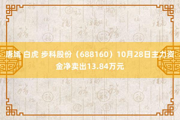 唐嫣 白虎 步科股份（688160）10月28日主力资金净卖出13.84万元