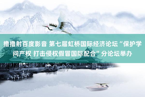 撸撸射百度影音 第七届虹桥国际经济论坛“保护学问产权 打击侵权假冒国际配合”分论坛举办