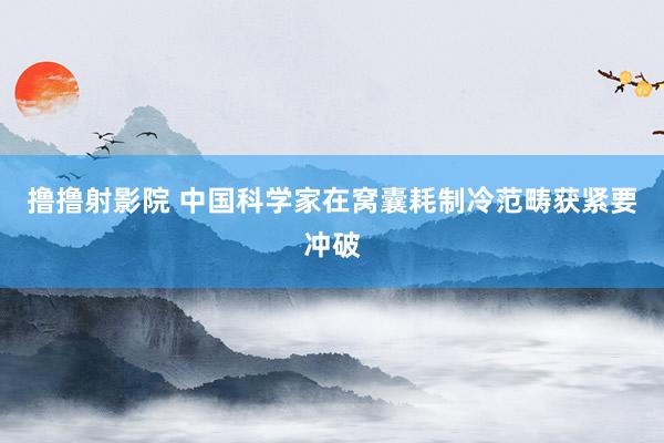 撸撸射影院 中国科学家在窝囊耗制冷范畴获紧要冲破