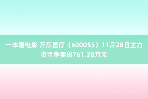一本道电影 万东医疗（600055）11月28日主力资金净卖出761.28万元