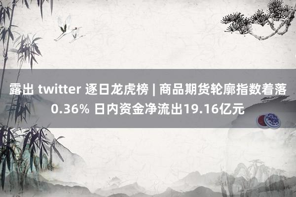 露出 twitter 逐日龙虎榜 | 商品期货轮廓指数着落0.36% 日内资金净流出19.16亿元