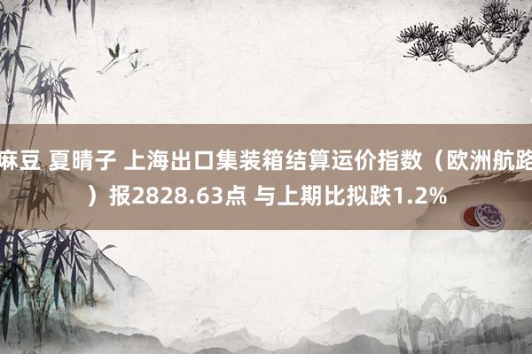 麻豆 夏晴子 上海出口集装箱结算运价指数（欧洲航路）报2828.63点 与上期比拟跌1.2%