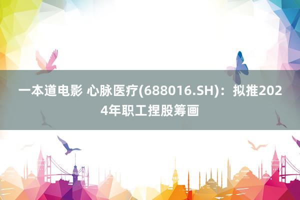 一本道电影 心脉医疗(688016.SH)：拟推2024年职工捏股筹画