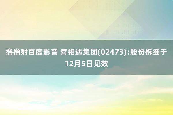 撸撸射百度影音 喜相遇集团(02473):股份拆细于12月5日见效