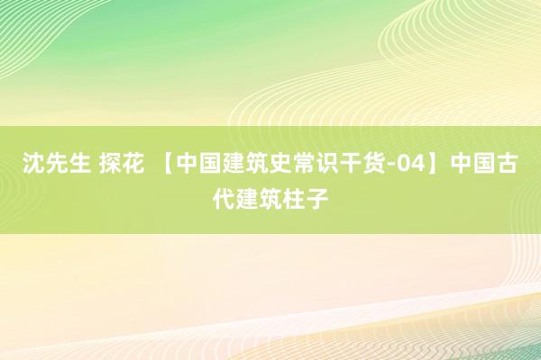 沈先生 探花 【中国建筑史常识干货-04】中国古代建筑柱子