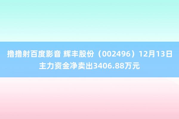 撸撸射百度影音 辉丰股份（002496）12月13日主力资金净卖出3406.88万元