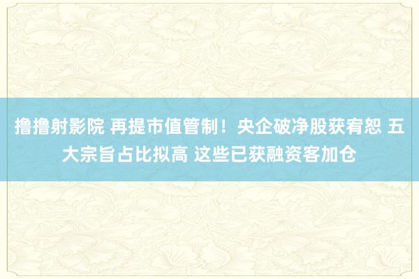 撸撸射影院 再提市值管制！央企破净股获宥恕 五大宗旨占比拟高 这些已获融资客加仓