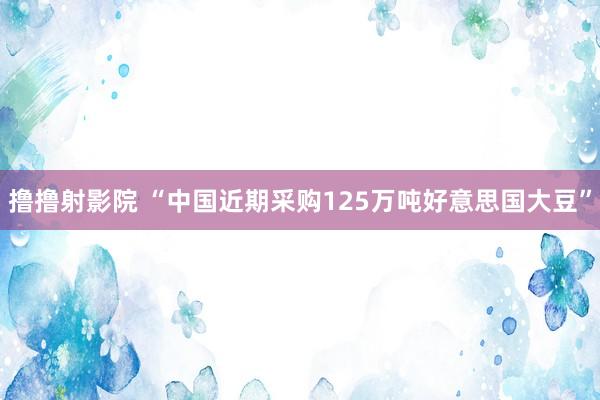 撸撸射影院 “中国近期采购125万吨好意思国大豆”