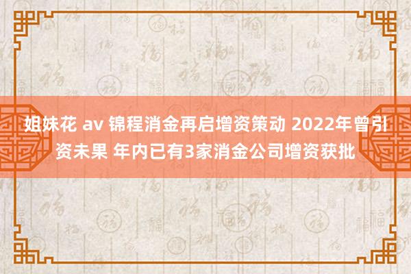 姐妹花 av 锦程消金再启增资策动 2022年曾引资未果 年内已有3家消金公司增资获批