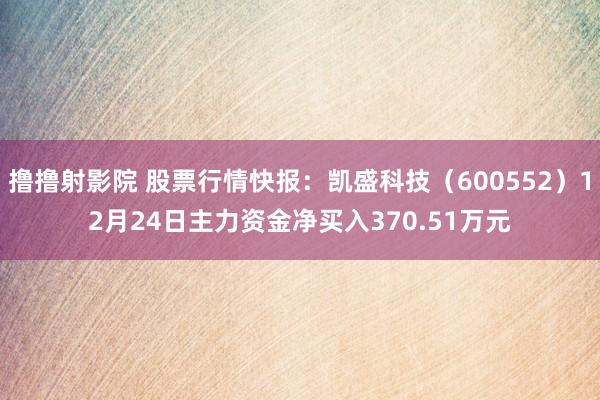 撸撸射影院 股票行情快报：凯盛科技（600552）12月24日主力资金净买入370.51万元