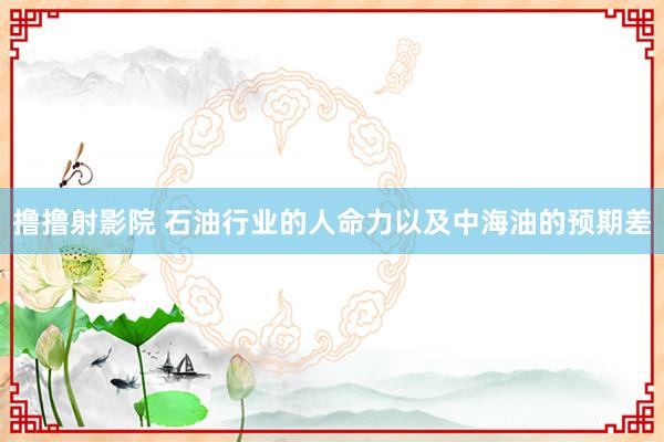 撸撸射影院 石油行业的人命力以及中海油的预期差