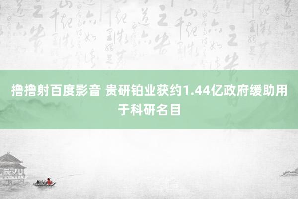 撸撸射百度影音 贵研铂业获约1.44亿政府缓助用于科研名目