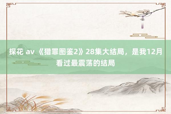探花 av 《猎罪图鉴2》28集大结局，是我12月看过最震荡的结局