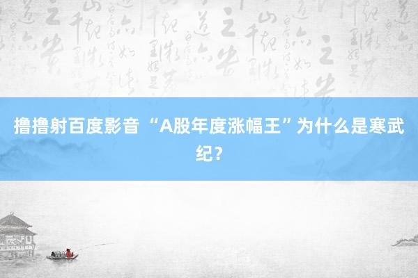 撸撸射百度影音 “A股年度涨幅王”为什么是寒武纪？