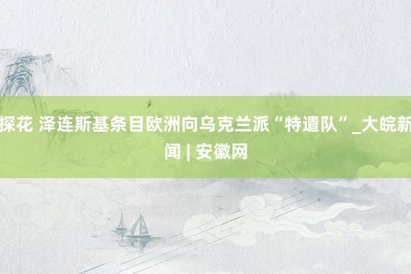 探花 泽连斯基条目欧洲向乌克兰派“特遣队”_大皖新闻 | 安徽网