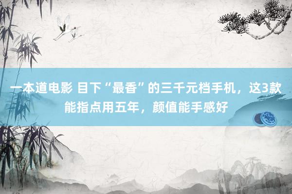 一本道电影 目下“最香”的三千元档手机，这3款能指点用五年，颜值能手感好