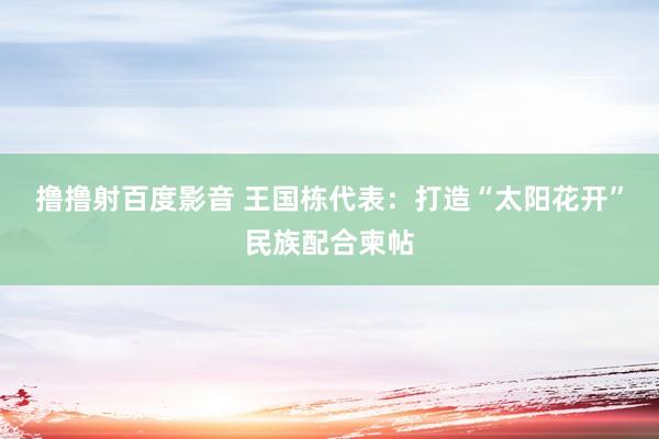 撸撸射百度影音 王国栋代表：打造“太阳花开”民族配合柬帖