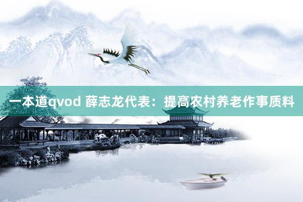 一本道qvod 薛志龙代表：提高农村养老作事质料