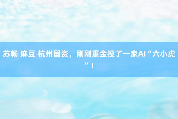 苏畅 麻豆 杭州国资，刚刚重金投了一家AI“六小虎”！