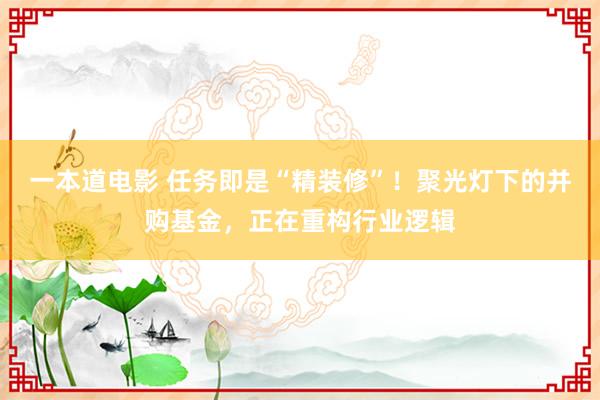 一本道电影 任务即是“精装修”！聚光灯下的并购基金，正在重构行业逻辑