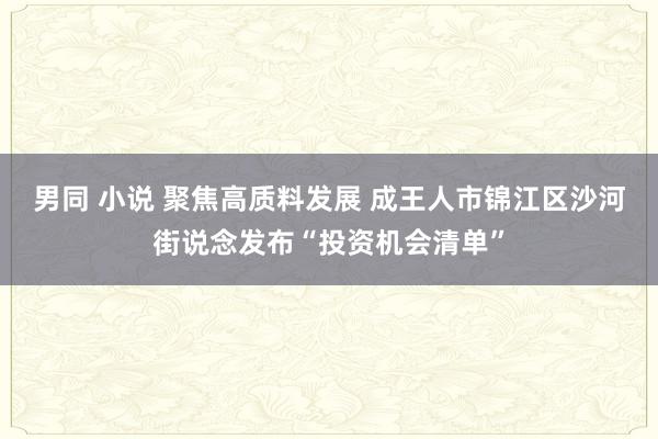 男同 小说 聚焦高质料发展 成王人市锦江区沙河街说念发布“投资机会清单”