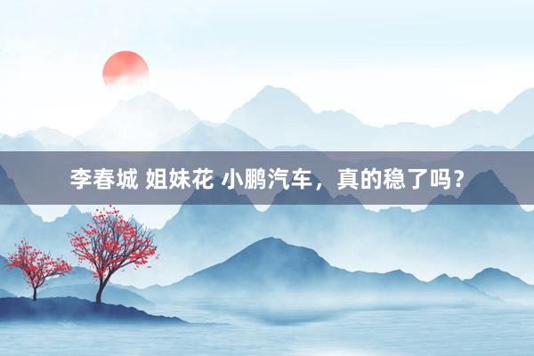 李春城 姐妹花 小鹏汽车，真的稳了吗？