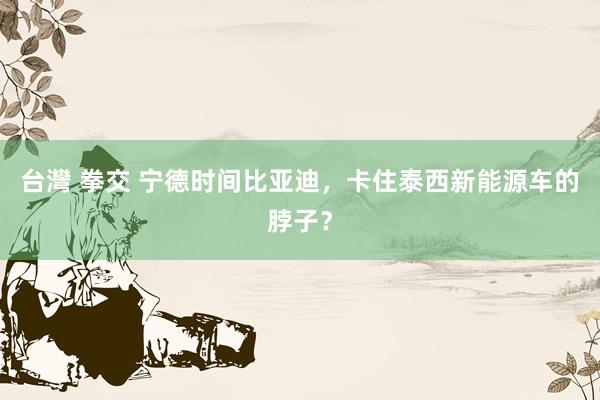 台灣 拳交 宁德时间比亚迪，卡住泰西新能源车的脖子？