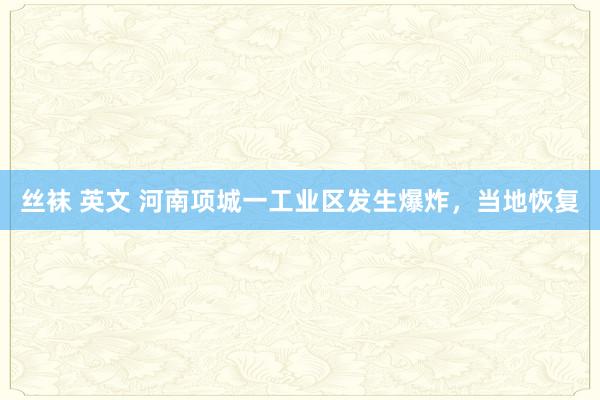 丝袜 英文 河南项城一工业区发生爆炸，当地恢复