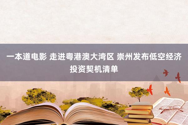 一本道电影 走进粤港澳大湾区 崇州发布低空经济投资契机清单