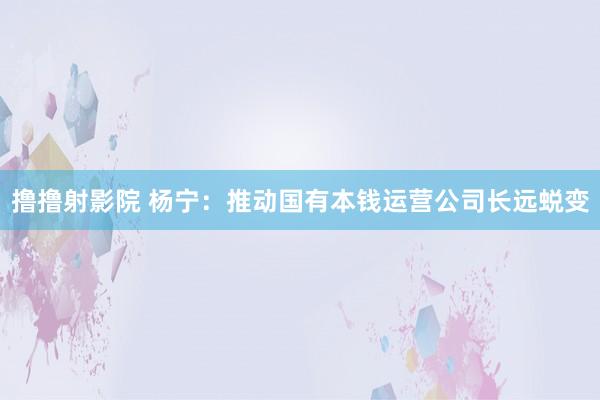 撸撸射影院 杨宁：推动国有本钱运营公司长远蜕变
