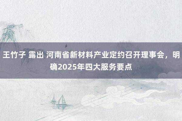 王竹子 露出 河南省新材料产业定约召开理事会，明确2025年四大服务要点