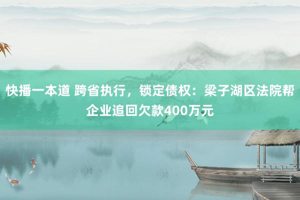 快播一本道 跨省执行，锁定债权：梁子湖区法院帮企业追回欠款400万元