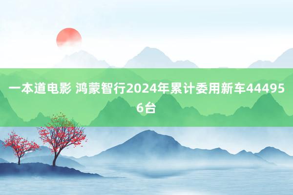 一本道电影 鸿蒙智行2024年累计委用新车444956台