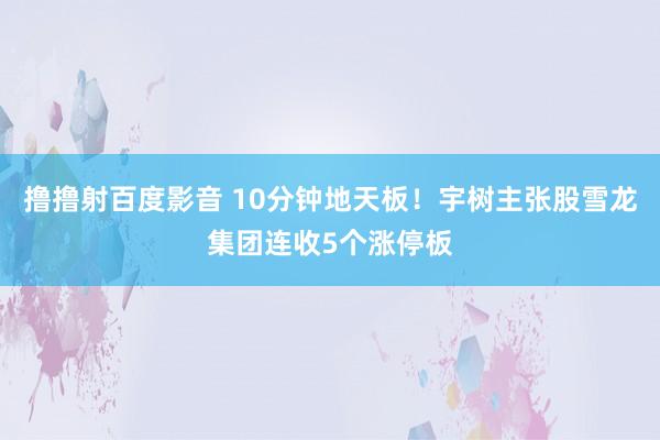 撸撸射百度影音 10分钟地天板！宇树主张股雪龙集团连收5个涨停板