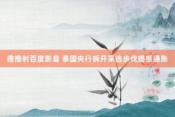 撸撸射百度影音 泰国央行拆开采选步伐提振通胀