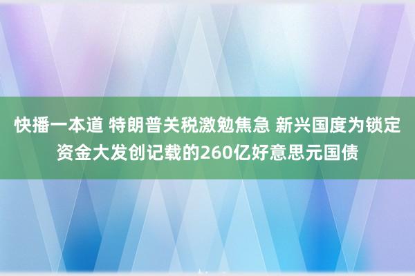 快播一本道 特朗普关税激勉焦急 新兴国度为锁定资金大发创记载的260亿好意思元国债