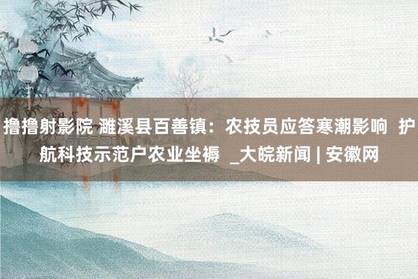 撸撸射影院 濉溪县百善镇：农技员应答寒潮影响  护航科技示范户农业坐褥  _大皖新闻 | 安徽网