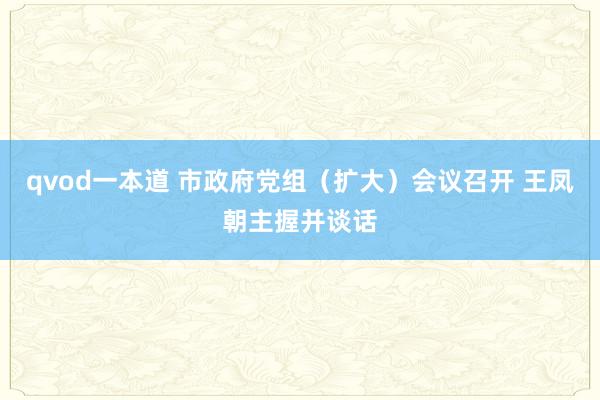 qvod一本道 市政府党组（扩大）会议召开 王凤朝主握并谈话