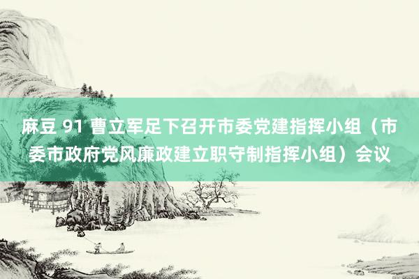 麻豆 91 曹立军足下召开市委党建指挥小组（市委市政府党风廉政建立职守制指挥小组）会议