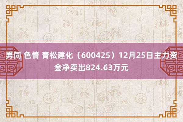 男同 色情 青松建化（600425）12月25日主力资金净卖出824.63万元