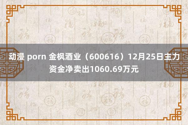 动漫 porn 金枫酒业（600616）12月25日主力资金净卖出1060.69万元