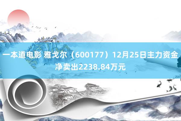 一本道电影 雅戈尔（600177）12月25日主力资金净卖出2238.84万元