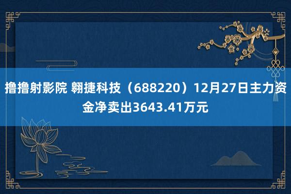 撸撸射影院 翱捷科技（688220）12月27日主力资金净卖出3643.41万元