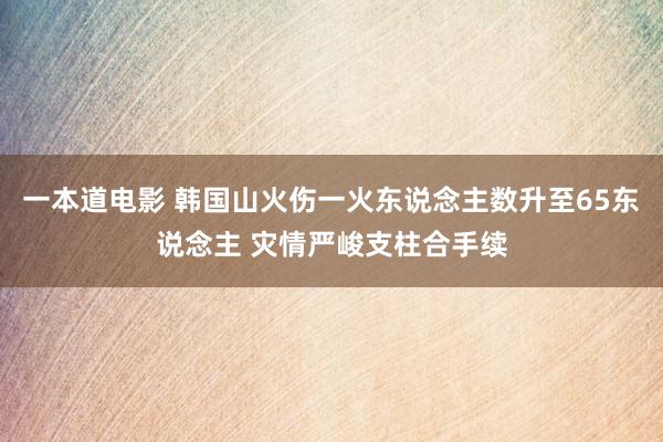 一本道电影 韩国山火伤一火东说念主数升至65东说念主 灾情严峻支柱合手续