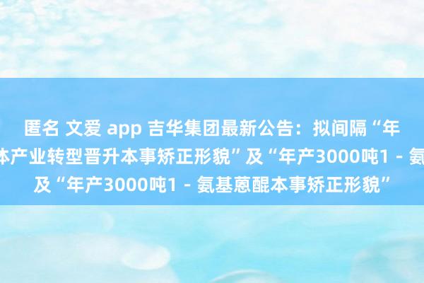 匿名 文爱 app 吉华集团最新公告：拟间隔“年产10万吨染料及中间体产业转型晋升本事矫正形貌”及“年产3000吨1－氨基蒽醌本事矫正形貌”