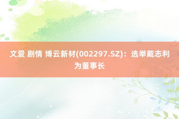 文爱 剧情 博云新材(002297.SZ)：选举戴志利为董事长