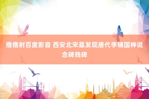 撸撸射百度影音 西安北宋墓发现唐代李辅国神说念碑残碑