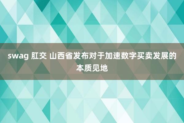 swag 肛交 山西省发布对于加速数字买卖发展的本质见地
